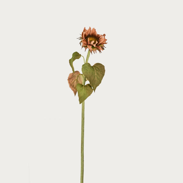 Neptune Accessories_Living accessories_Faux flowers & plants default Sunflower Stem, Brown
