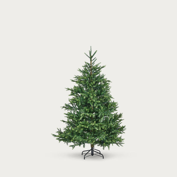 Neptune Seasonal_Christmas_Christmas trees default Windsor 6ft Nordmann Fir Christmas Tree