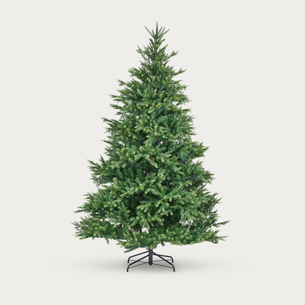 Neptune Seasonal_Christmas_Christmas trees default Windsor 8ft Nordmann Fir Christmas Tree