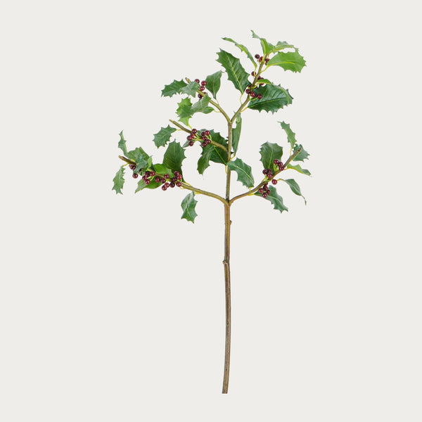 Neptune Flowers & Plants Burgundy Holly Berry Spray