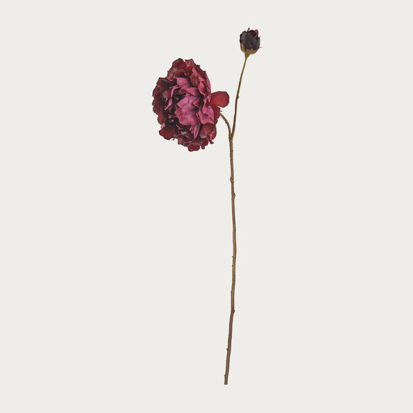 Neptune Flowers & Plants Default Peony Spray