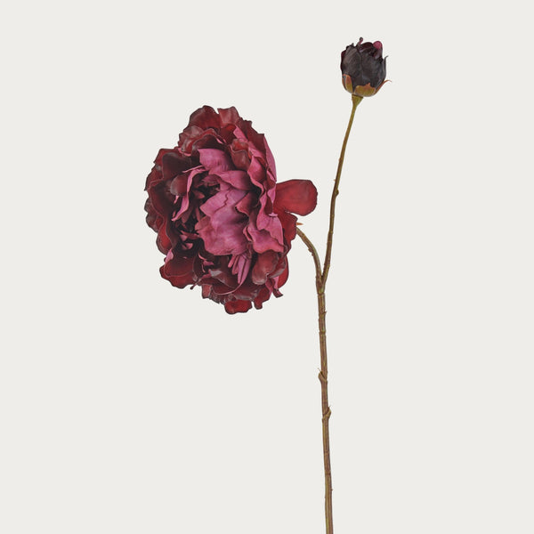 Neptune Flowers & Plants Default Peony Spray