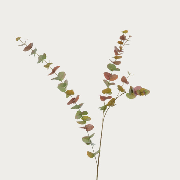 Neptune Flowers & Plants Eucalyptus Spray, Russet