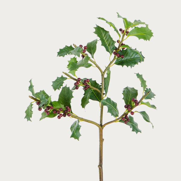 Neptune Flowers & Plants Holly Berry Spray