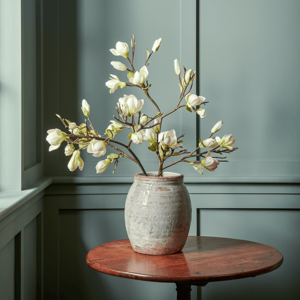 Neptune Flowers & Plants Magnolia Spray