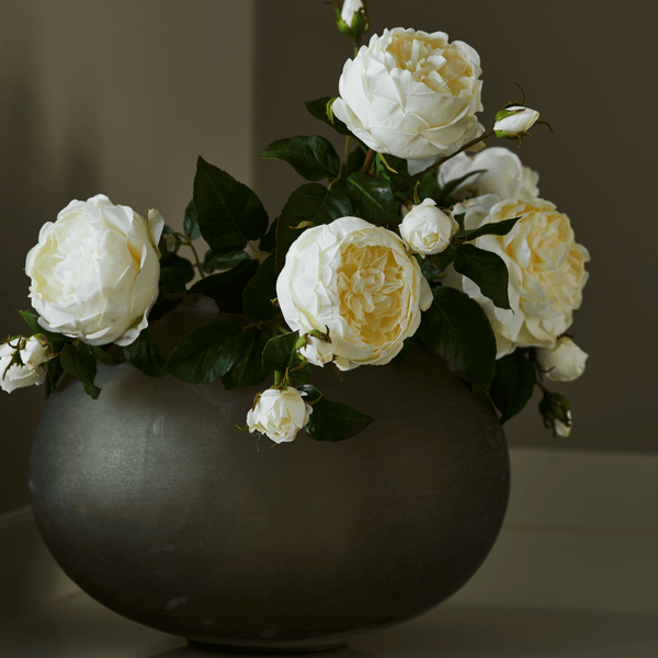 Neptune Flowers & Plants Peony Bundle