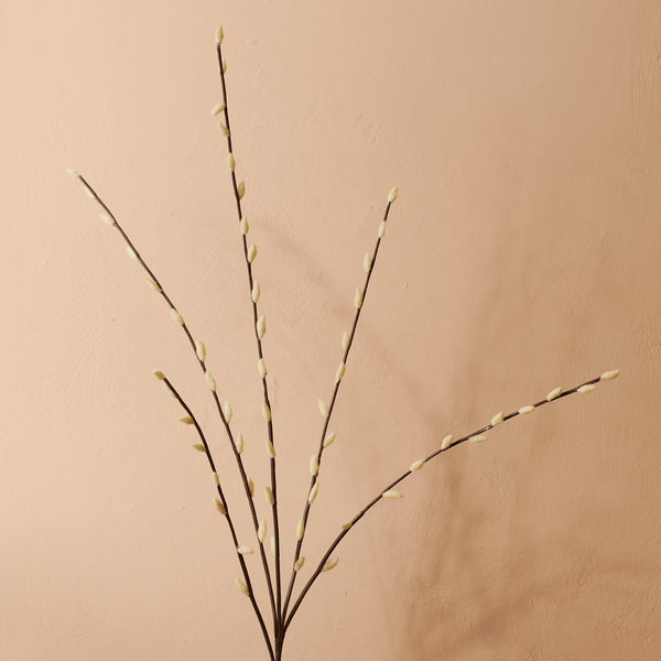 Neptune Flowers & Plants Pussy Willow Stem