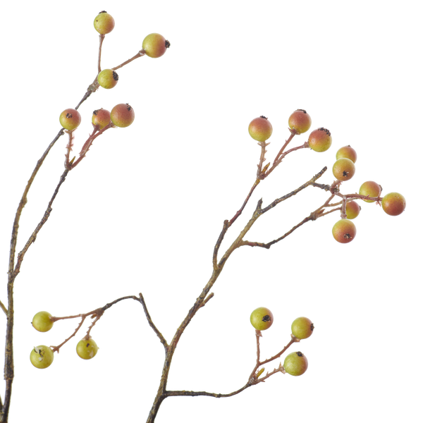 Neptune Flowers & Plants Snowberry Twig