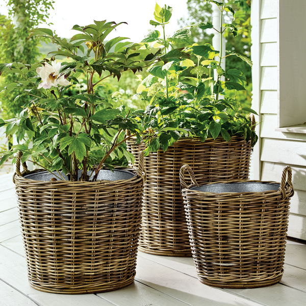 Neptune Pots & Planters Tetbury Planter