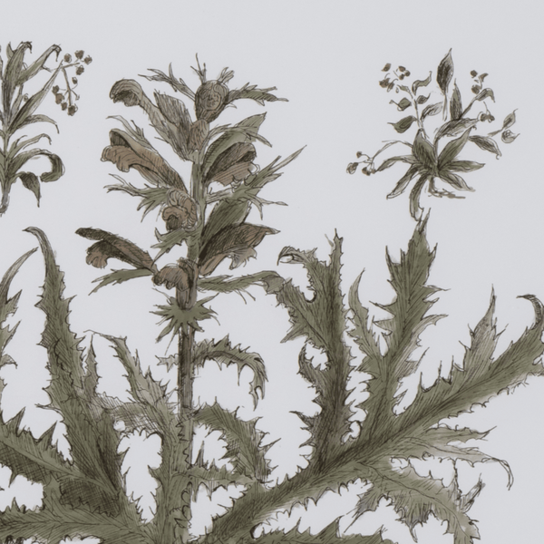 Neptune Wall Art Clipsham Botanical