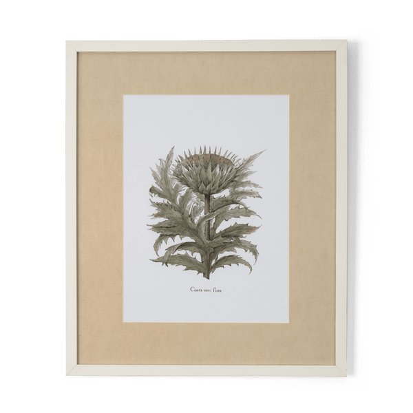 Neptune Wall Art Cinera Cum Flore Clipsham Botanical