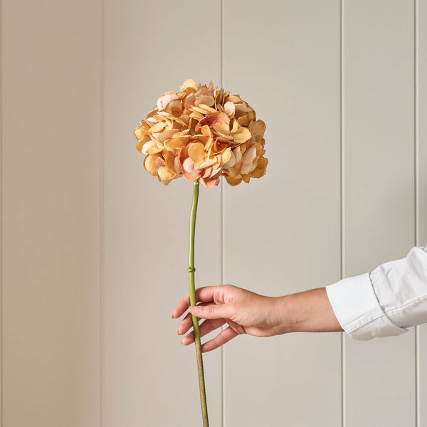Neptune Accessories_Living accessories_Faux flowers & plants default Hydrangea Stem, Light Brown
