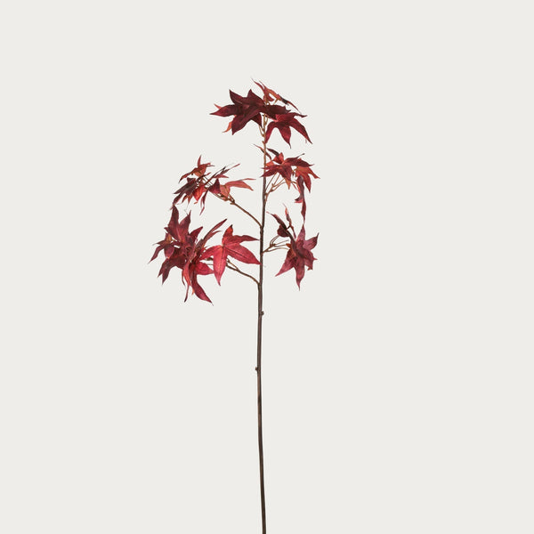 Neptune Accessories_Living accessories_Faux flowers & plants default Maple Leaf, Burgundy