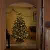 Neptune Seasonal_Christmas_Christmas trees default Windsor 6ft Nordmann Fir Christmas Tree
