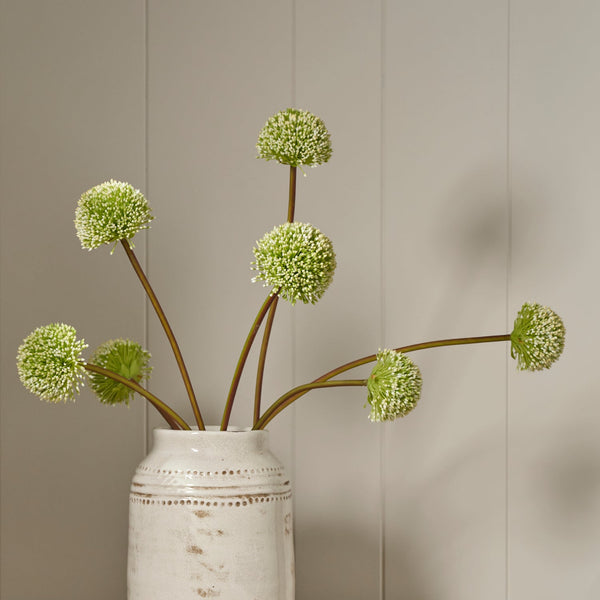Neptune Flowers & Plants Allium Spray, Green