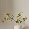 Neptune Flowers & Plants Berry Flower Spray, Pink