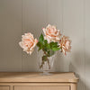 Neptune Flowers & Plants Rose Stem, Pink