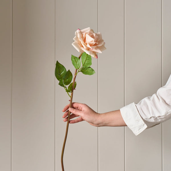 Neptune Flowers & Plants Rose Stem, Pink