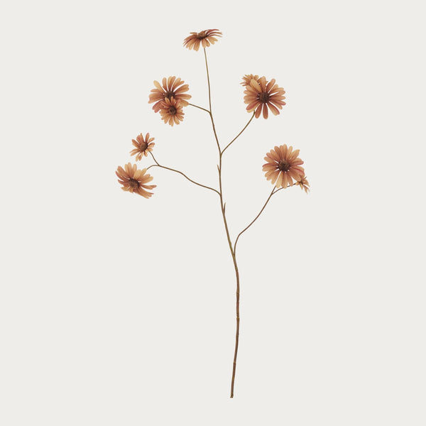 Neptune Flowers & Plants Daisy Spray