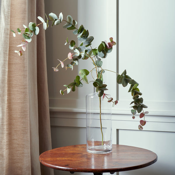 Neptune Flowers & Plants Eucalyptus Red Box Spray