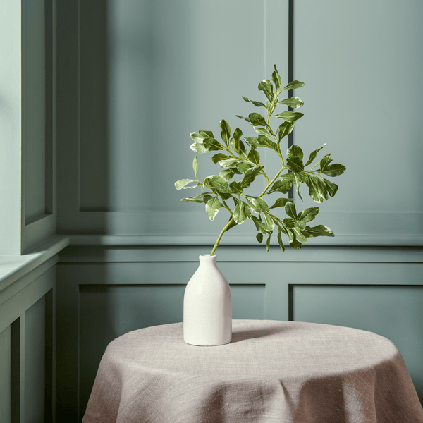 Neptune Flowers & Plants Pittosporum Spray
