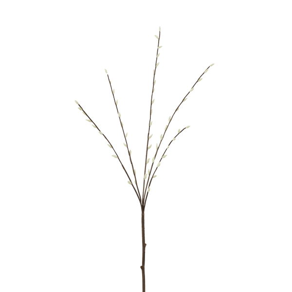 Neptune Flowers & Plants Pussy Willow Stem