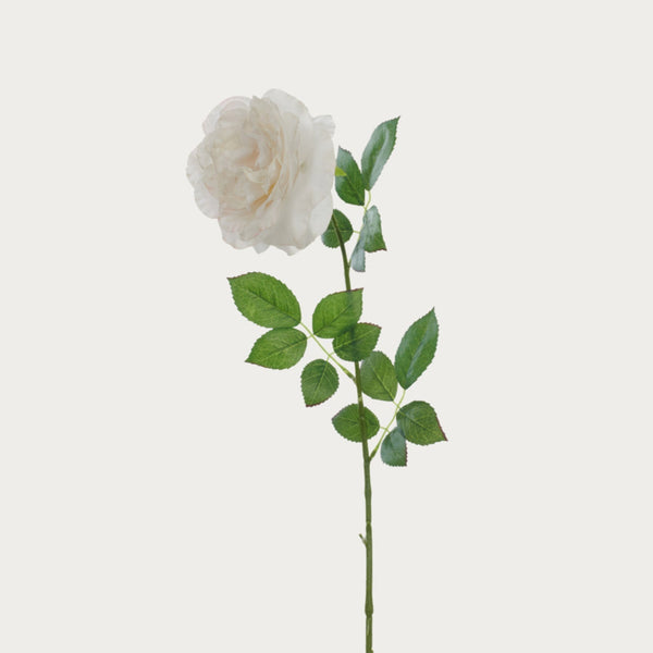 Neptune Flowers & Plants Rose Stem, White