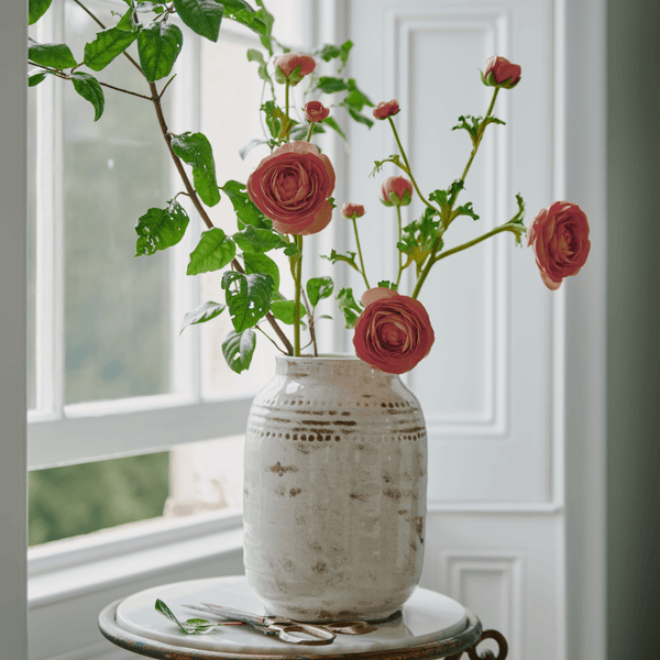 Neptune Flowers & Plants Ranunculus Flower