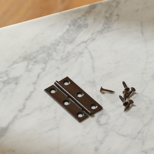 Neptune Handles & Hardware Bronze Lennon Hinge, Set of 2