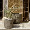 Neptune Pots & Planters Medium Avebury Planter