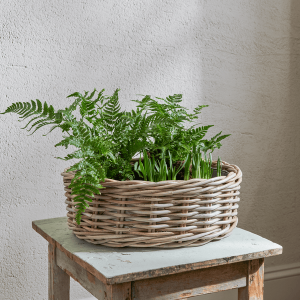 Neptune Pots & Planters Default Littleton Basket, Oval