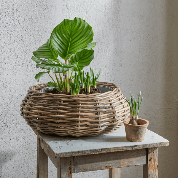 Neptune Pots & Planters Default Littleton Basket, Round