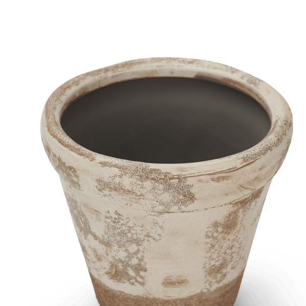 Neptune Pots & Planters Small Thyme Terracotta Pot