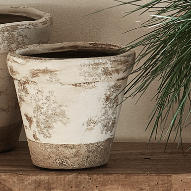 Neptune Pots & Planters Small Thyme Terracotta Pot