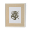 Neptune Wall Art Cinera Cum Flore Clipsham Botanical