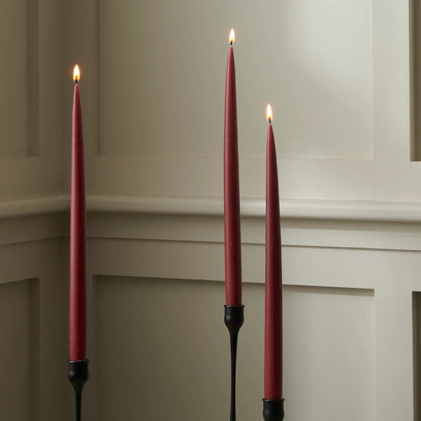 Neptune Accessories_Living accessories_Candles & diffusers default Nightingale Tapered Candles, Set of 4 - Cranberry